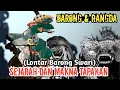 Lagu Sejarah \u0026 Makna Tapakan Ida Betara (Barong \u0026 Rangsa) Lontar Barong Swari