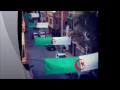 فلسطين - دارين حدشيتي