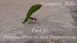 Part 2 Printing Demo in Java Programming