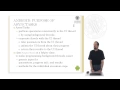 The UI Thread and the class AsyncTask in Android UPV