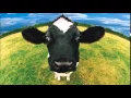 Lagu cow sound effects - efek suara sapi