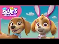 Download Lagu Spring Time Bunny Hop Song - Skye's Music Party - PAW Patrol Music Cartoons for Kids