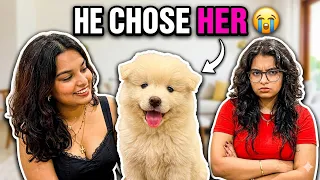 My Sister Is Already Jealous of Our New Family Member… 🐶 ❤️ | Ayu and Anu - Twin Sisters