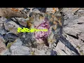 Fakear - Amulet (Official Visualizer)