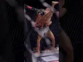 Download Lagu An impressive performance by FELIPE LIMA on his OKTAGON debut to secure the bantamweight strap!🏆