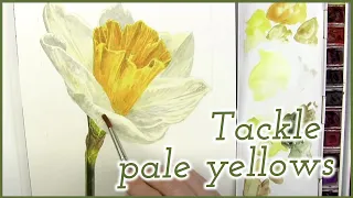 Download Easy daffodil painting [Realistic and three dimensional] | Flower watercolor class with Anna Mason MP3