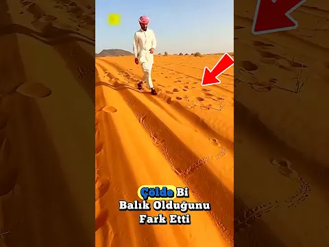 Çölde Böyle Bir Balıkla Karşılaşınca Şoke Oldu! 😱