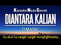 Download Lagu D'Masiv - Diantara Kalian 🎤Karaoke Female Key ♥️Nada Wanita +2‼️