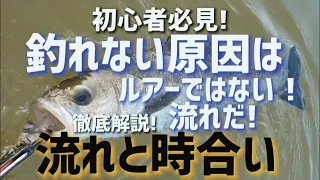 【シーバス】釣れない原因は時合いと流れに対する無知！初心者でもここが分かれば絶対に釣れる！
