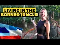 Download Lagu We Spent 2 Days Cruising The Borneo Jungle! (And Found Pygmy Elephants)
