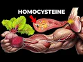 Download Lagu Homocysteine, The Vasodilation Brick Wall, And The Optimal Betaine/Trimethylglycine Dosage