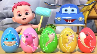 Bebé Tiburón Huevos Sorpresa | Canciones Infantiles | LoLo & Leo en Español