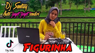 dj figurinha viral tik tok dj slow bass terbaru 2021 hary rmx