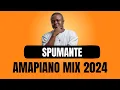 Lagu AMAPIANO MIX 2024 | SPUMANTE | 25 FEBRUARY