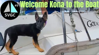 SVGC 9 –  KONA Our Boat Dog – Toilets Plumbing Electric Macerator Head Seacocks Boats and Hose