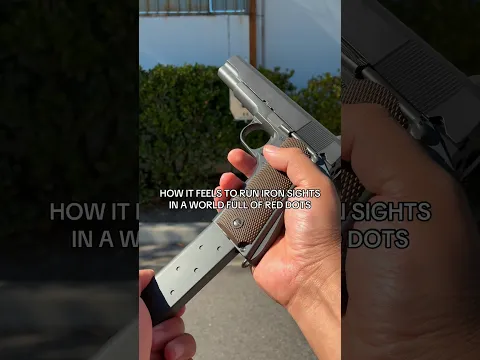 Iron Sights or nah? #short #shorts #airsoft #airsoftgi #gbb #milsim #gaming #fps #funny #memes #cod