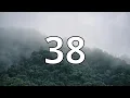 38 Second Countdown Timer With Alarm Sound At the End Simple Beep