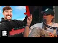 MrBeast sends ludwig a surprise