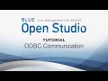 BLUE Open Studio Tutorial ODBC Communication
