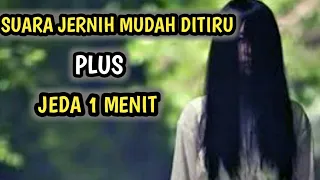 masteran kuntilanak terbaru suara jernih mudah ditiru cocok untuk isian cendet dan cucak ijo