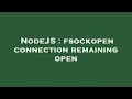 NodeJS fsockopen connection remaining open