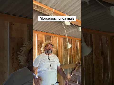 Morcegos nunca mais. #campo #interior #agro #dicas