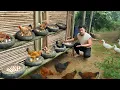 Download Lagu CEO leaves the city for the forest, prepares to harvest chicken eggs after 100 days of care