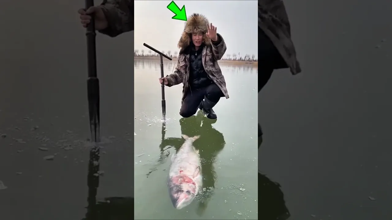 #bts