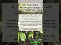 Download Lagu Doa Agar Diberi Kecukupan dengan Yang Halal #doa #quotes #yukberdoa #doamustajab