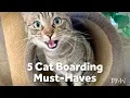 5 Cat Boarding Must-Haves