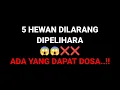 Download Lagu 5 HEWAN DILARANG DIPELIHARA 😱😱❌❌
