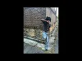 free jerk sample type beat everybody dies in their nightmares