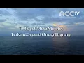 Download Lagu Viral Syair Pujian Sunda Enak Didengar GEUNING MAOT NGADODOHO terjemah Indonesia // ALI SODIKIN