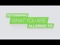 Premier Allergy - What to Expect During Your First Visit