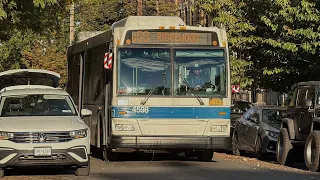MTA NYCT on the Q58 to Ridgewood Ride