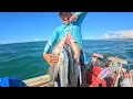 Download Lagu FARTURA NA PESCARIA - NINGUÉM IMAGINA QUE IRÍAMOS PESCAR ESSE TANTO DE PEIXE!! (DIEGO PESCADOR AMA..