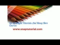 PRG 421 Courses snaptutorial com