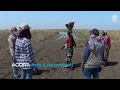 Download Lagu Over AGORA