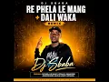 RE PHELA KA MANG + DALI WAKA REMIX BY DJ SBABA