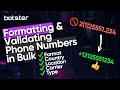 BULK PHONE NUMBER VALIDATION AND FORMATTING TUTORIAL