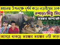 Download Lagu নপাড়া/মিঠু সিং ভয়ঙ্কর কাড়া লড়াইয়ের ডাক দিলেন★আসরে থাকছে ভয়ঙ্কর ভয়ঙ্কর ৮টি কাড়া★তাজা খবর।