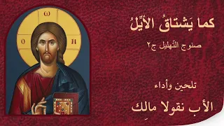 المزمور الحادي والأربعون دندنها