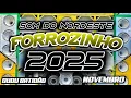 FORROZINHO 2025 PAREDÃO LAPADA ATUALIZADO 2025 CD NOVO SELEÇÃO 2025 #nordeste #piseiro #forrozin