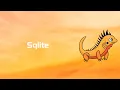 Zig How to connect to Sqlite Database Tutorial