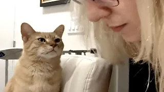 Woman brings home cat her parents warned against
