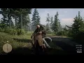 RDR2 | How to get someone to bleed to death | Quick video