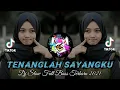 Download Lagu Dj Tenanglah Sayang Ku Disini Slow Beat Viral TikTok Terbaru 2021