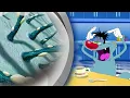 Download Lagu Oggy und die Kakerlaken | Läuse! | Volledige aflevering in HD
