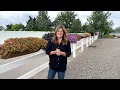 6 Week Hayrack Update They Look SO Great Garden Answer