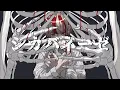 Download Lagu シカバネーゼ / jon-YAKITORY feat. Ado (Official Video) - Shikabanese / jon-YAKITORY feat. Ado